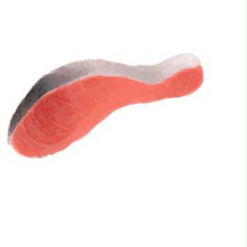 鮭の切り身