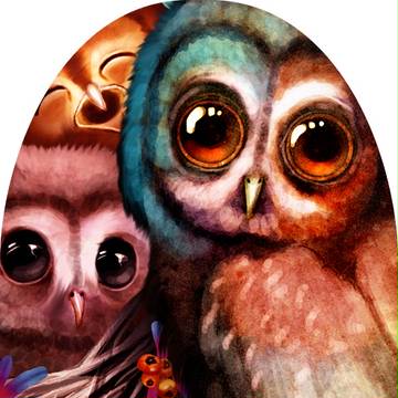 owls