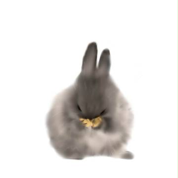 毛繕い