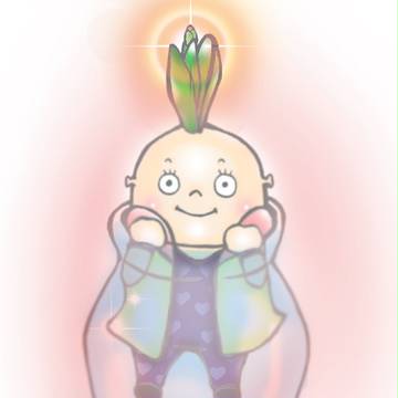 水栽培