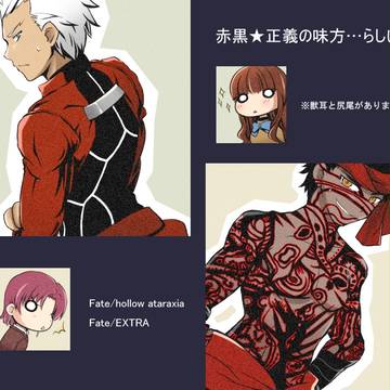 【Fate】赤黒★正義の味方…らしい