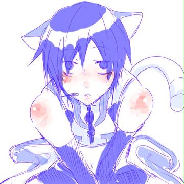 ぬこぬこ