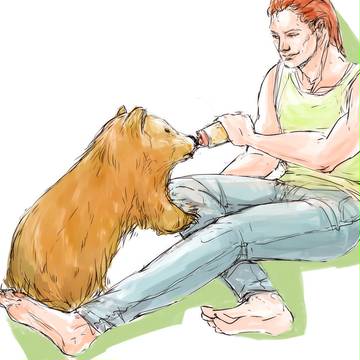 feed the bear