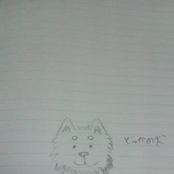ジッペイもどき