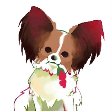 パピヨン。