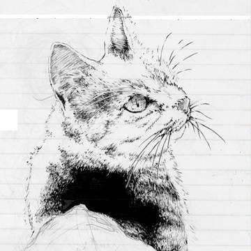 見返り美猫