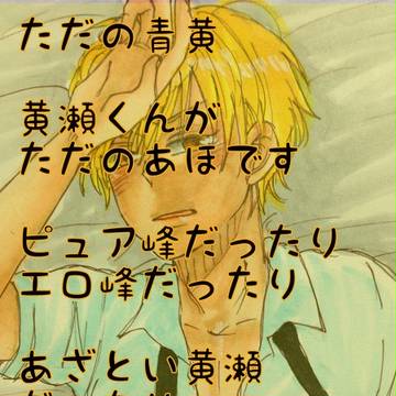 パーフェクトコピー?【青黄】