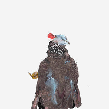 bird