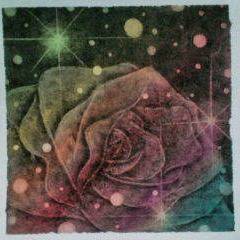薔薇