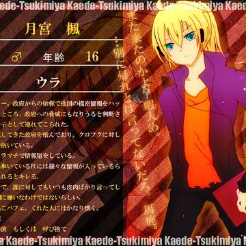 【ぴくウラ】　月宮 楓　【キャラシ】