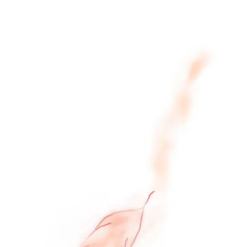 羽根