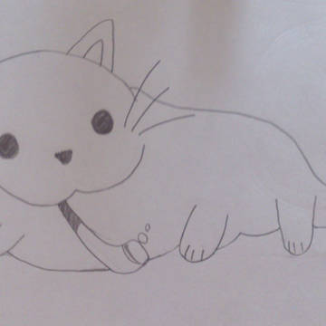 猫さん