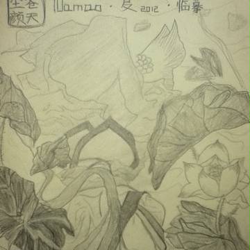 【临摹】YOamao_游园惊梦_原绘夏达