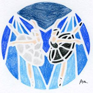 白鳥と黒鳥