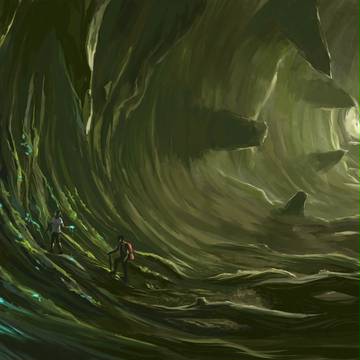 Forest Cave