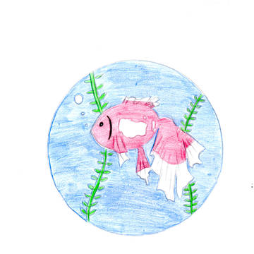 金魚