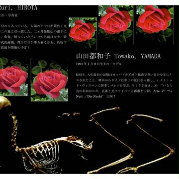 コラージュ　プロフィール