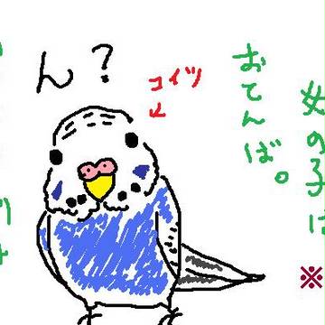 【絵日記風】おてんばインコ