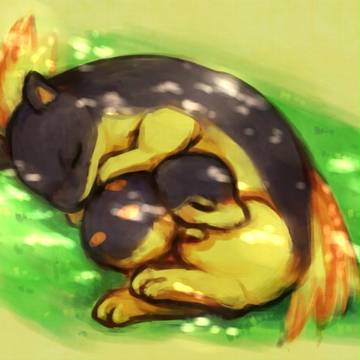 木漏れ日