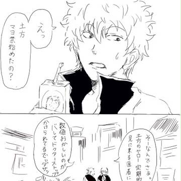 [銀魂]その顔が見てみたい[銀土]