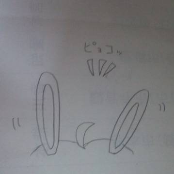 うさぎ ̄(=∵=) ̄
