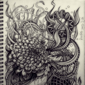 菊花