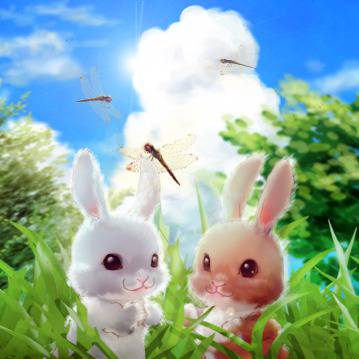 うさぎと夏雲