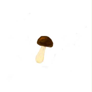 絵茶ログ