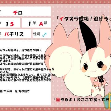 【ぽけ高】チロ【1年】