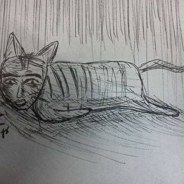 人面猫