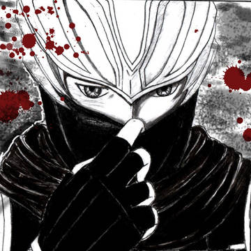 NINJA GAIDEN