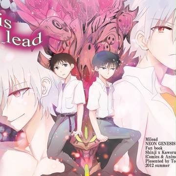 【C82新刊】Mislead【書店委託開始エヴァ庵&貞シンカヲ】