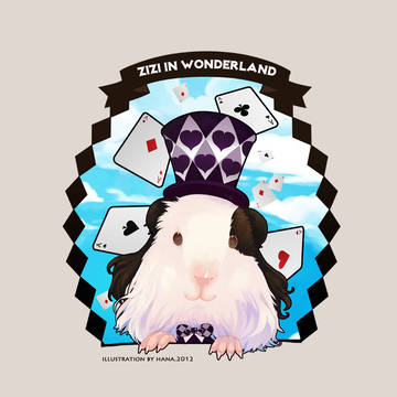 zizi in wonderland