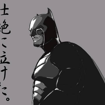 THE DARK KNIGHT RISES