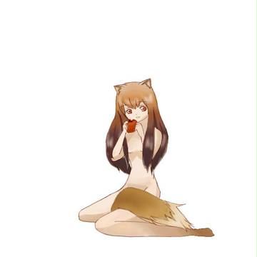 ホロのつもり