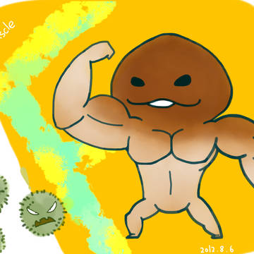 Muscle菇