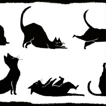 猫のヨガ