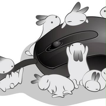 Rabbits