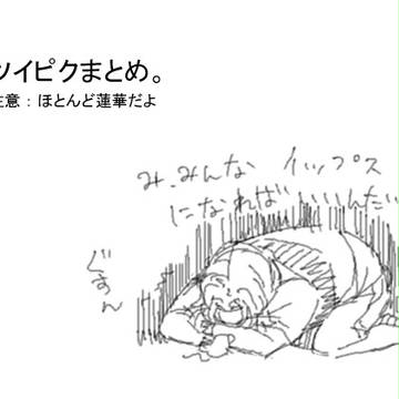 ツイピクまとめ