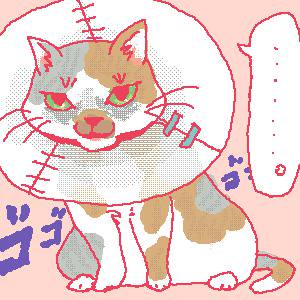 無言の怒り