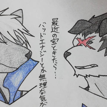 最近の呟き