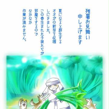 残暑お見舞い申し上げます