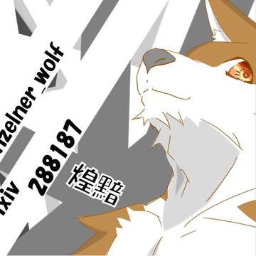 名刺デザイン　C82配布