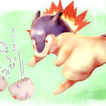 オルトさんへ!!