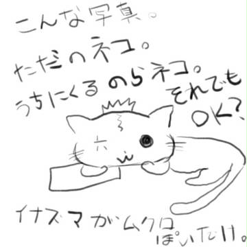 ナッポーネコ
