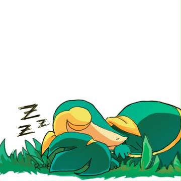 zzz