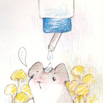 梅雨時のちび太