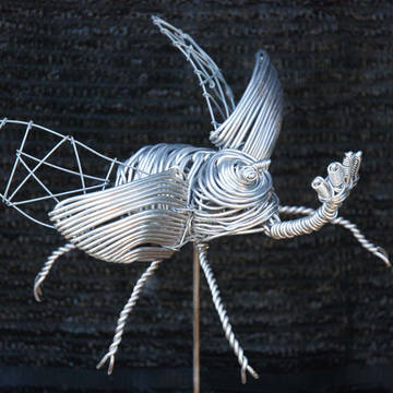 カブトムシ