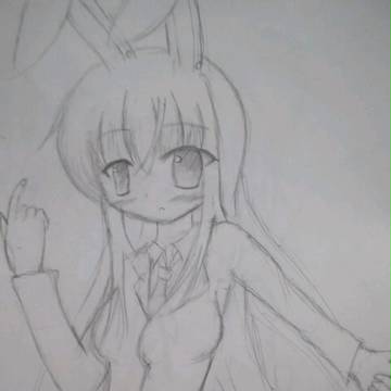 どんげ