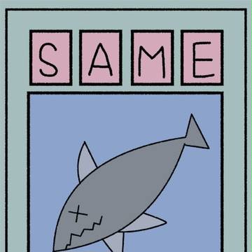 SAME。